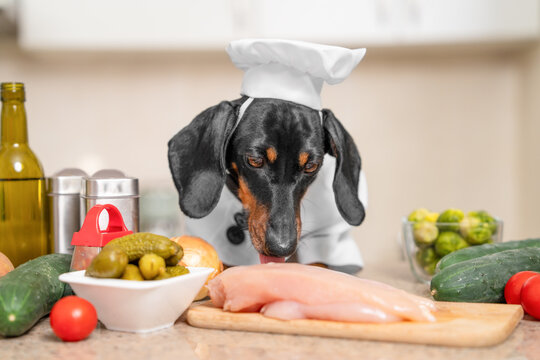 Black and tan dachshund dog in a white chef hat inspecting raw chicken and vegetable in a kitchen, culinary humor concept.