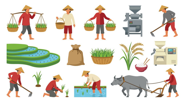 Rice farming illustrations with farmers fields and processing equipment