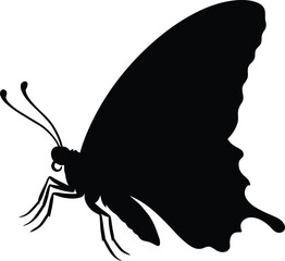 Butterfly side view with closed wings silhouette vector © Jakir