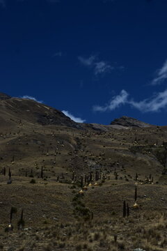 Natureza do Peru, parques e lagos inc&iacute;veis da regi&atilde;o.