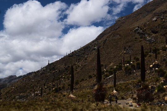 Natureza do Peru, parques e lagos inc&iacute;veis da regi&atilde;o.