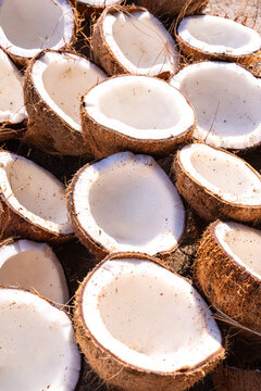 High-angle view of halved brown coconuts drying in the sun. Fresh organic copra production process for oil and food industry, showcasing natural white coconut meat texture and tropical agriculture