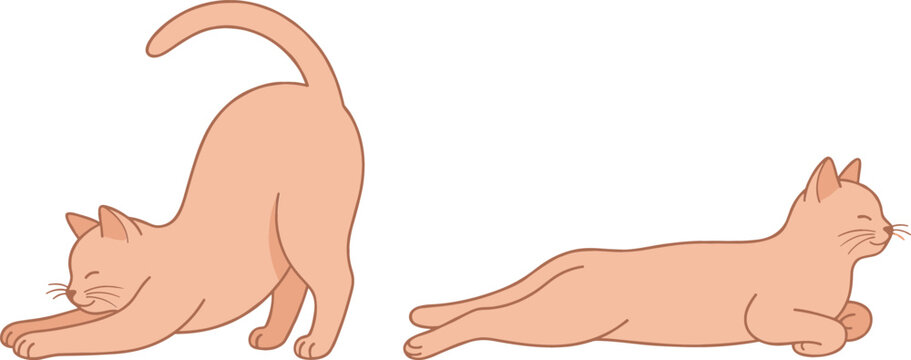 Cute Cartoon Peach Cat Vector Set Featuring One Feline Stretching Its Body and Another Kitten Lying Down Splooting Comfortably on White Background