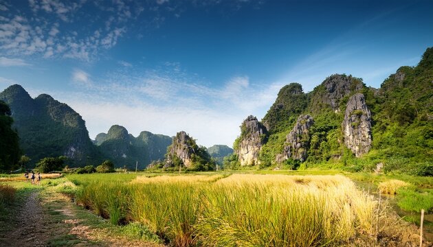 explore the stunning karst mountains of phong nha ke bang national park on a sunny day
