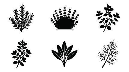 Set of isolated black flat herb silhouettes, perfect for seasoning, cooking, or kitchen design elements, natural foliage vector icons © Bagas