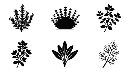 Set of isolated black flat herb silhouettes, perfect for seasoning, cooking, or kitchen design elements, natural foliage vector icons © Bagas