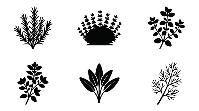 Set of isolated black flat herb silhouettes, perfect for seasoning, cooking, or kitchen design elements, natural foliage vector icons