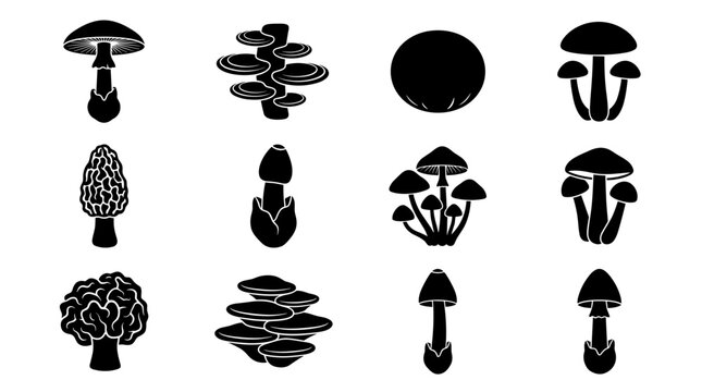Black and white silhouettes of various mushroom types, suitable for nature icons or fungal biology illustrations