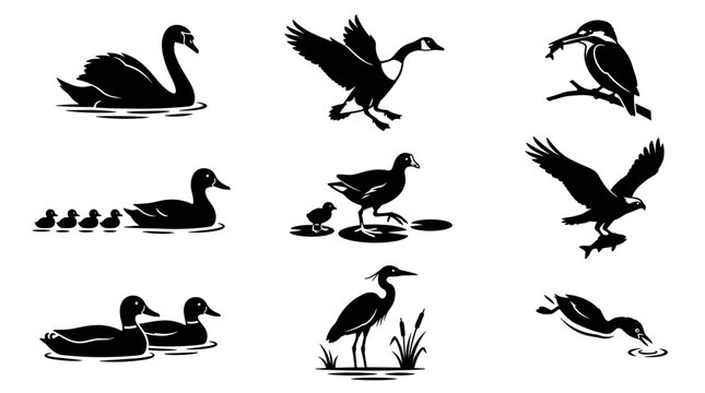 Pixel art birds set including swan, goose, kingfisher, ducks, duckling, coot, heron and eagle fishing, black silhouettes on white background