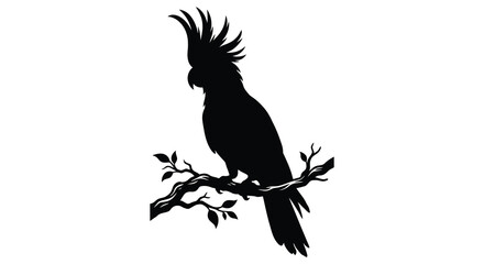 Cockatoo Silhouette On Branch Black Against White Background © BismillahAdobe
