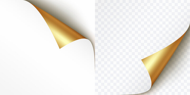 Curled page corner isolated on transparent and white background. Gold curve paper edge, bent sheet, note angle with realistic shadow. Vector rolled up stickers, peel banners