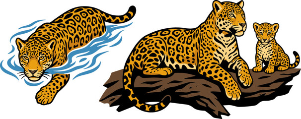 Jaguar Vector Character Set Featuring One Wildcat Swimming in Water Mother Jaguar Lying on Log and Cute Spotted Cub on White Background © monoara