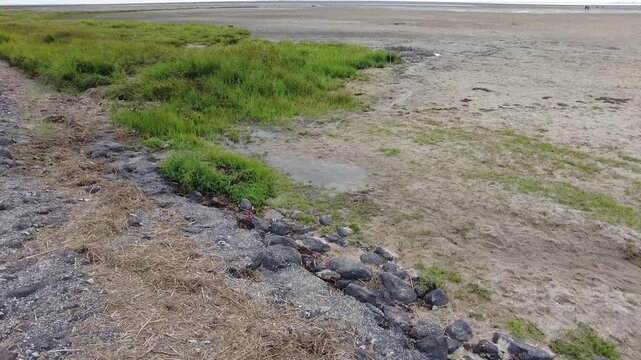 Wadden Sea at the Fulehoern of the Nordstrand peninsula at the Wadden Sea National Park in Schleswig-Holstein, Germany, Europe