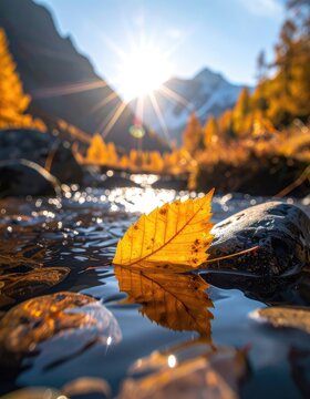 A single yellow leaf floats on a shimmering stream with mountains and autumn trees in the background.
