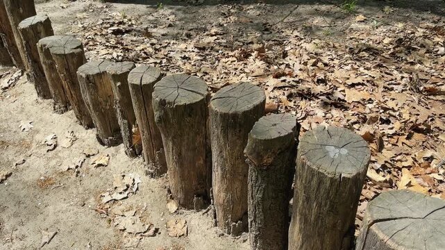 Low decorative garden border made with wooden weathered logs