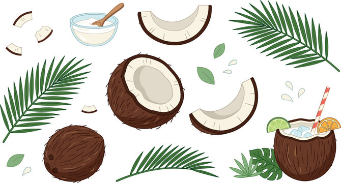 Vector coconut illustration set featuring whole fruit cut halves pieces tropical palm leaves cream bowl and summer cocktail isolated on white background