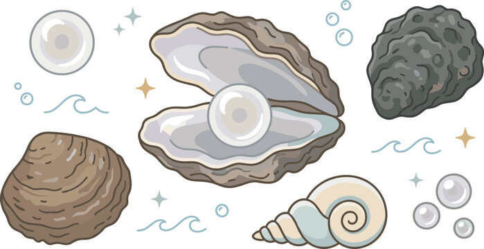 Vector oyster illustration set featuring open shell with shiny pearl closed bivalves sea snail shell bubbles and waves isolated on white background