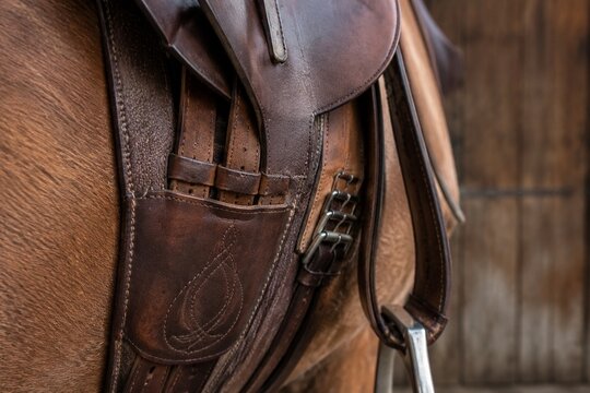 A finely crafted leather saddle girth fastened to a saddle, detailed texture, rustic setting.