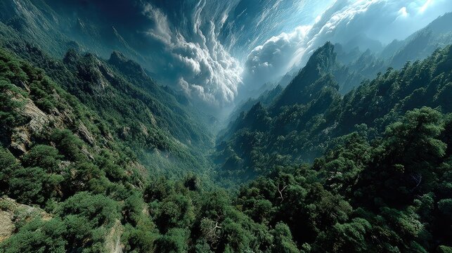 Aerial view of foggy mountain forest valley.