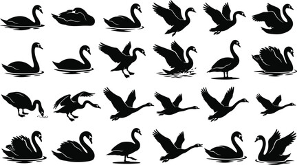 Fototapeta premium Swan and Goose Silhouette Collection Featuring Swimming Flying Landing and Waterfowl Wildlife Poses