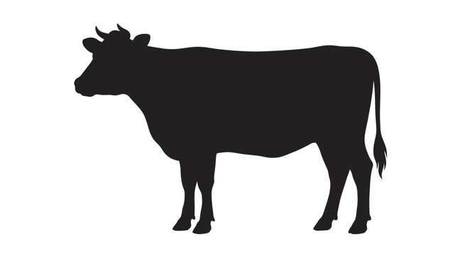 A black cow silhouette stands alone in a white background s1 (1)