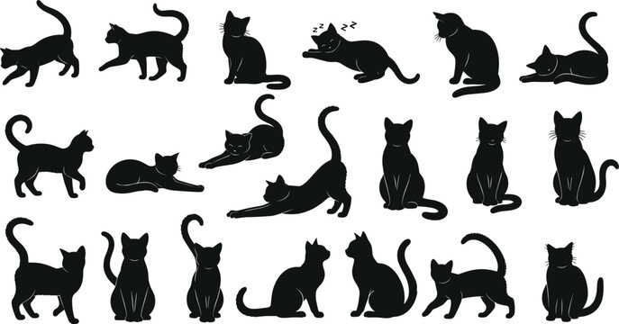 Vector illustration set of cute black cat silhouettes stretching sleeping walking and sitting isolated on white background