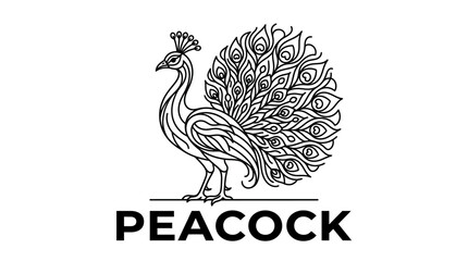 Fototapeta premium Peacock Line Art Vector Illustration