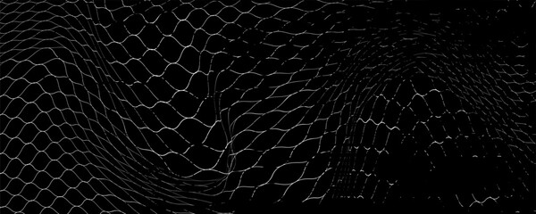 Net texture pattern on white background. Net texture pattern for backdrop and wallpaper. Realistic net pattern with black squares. Geometric background, vector Eps10 © Aluna