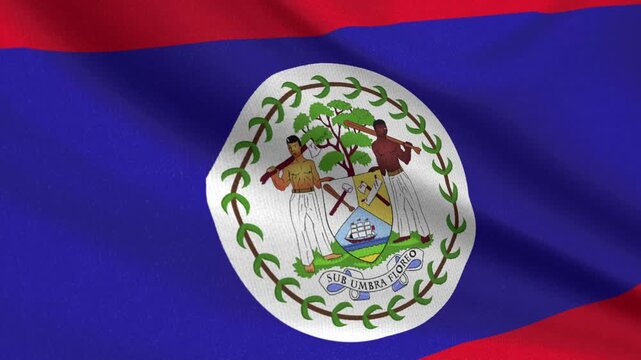 Seamless 3D video of the Belize flag fluttering in the wind looping