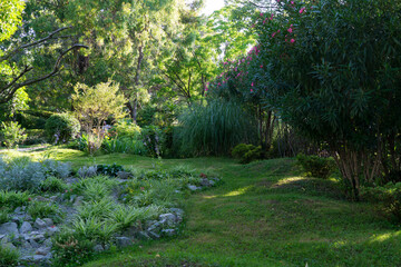 Fototapeta premium Serene Sochi park path winds through lush greenery, vibrant plants, and towering trees, bathed in soft sunlight. Rocks and dense foliage create tranquil, natural retreat