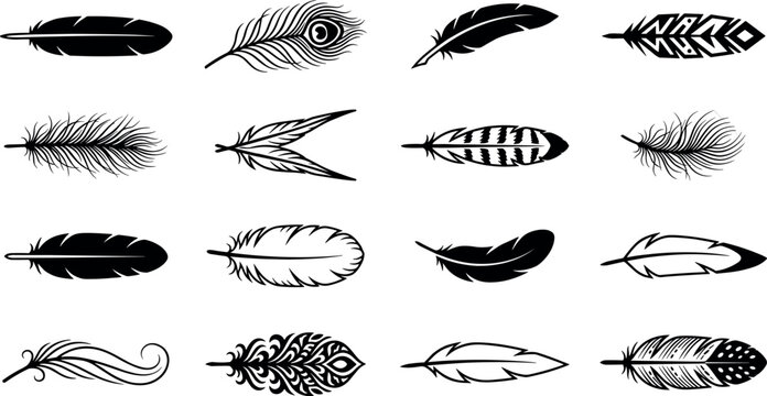 Black silhouette feather collection featuring diverse bird plume designs including peacock tribal patterns fluffy elements and elegant curved quill vector illustrations.