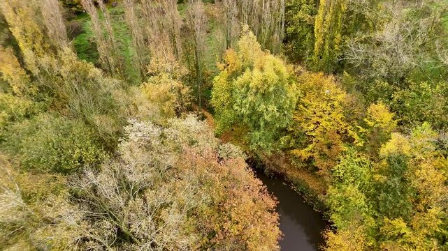 Drone flight over White Farm historic woodland and rural fields in Passchendaele, Flanders, Belgium. A key battlefield location from World War I