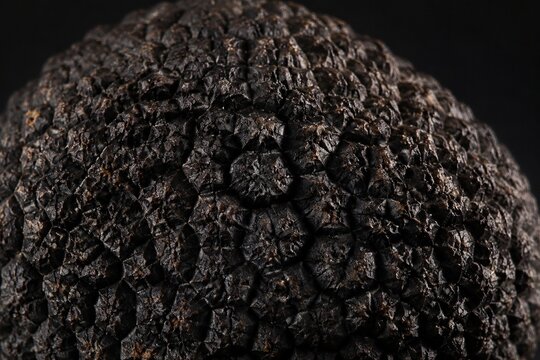 Extreme close-up of a fresh black truffle's textured surface.