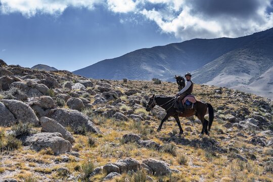 Traditional Kyrgyz eagle hunter in the mountains hunting on horseback, near Kysyl-Suu, Kyrgyzstan