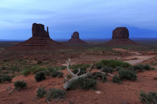 The rock formations of the desert rise majestically in the blue hour under a wide sky, Monument Valley, West Mitten Lefteye flounder, East Mitten Lefteye flounder, Merrick Lefteye flounder, North America, USA, South-West, Utah