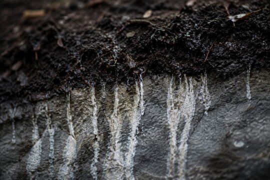 Rainwater seeping through dark soil, leaving pale streaks on a grey rock surface.