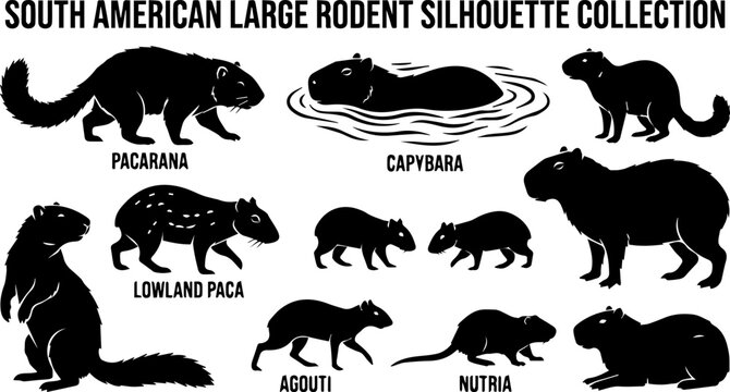 Large Rodent Silhouette Set &ndash; Capybara, Paca, Nutria, South American Wildlife Icons

