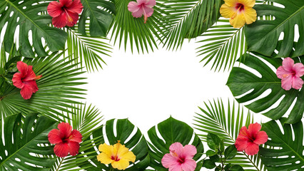 Tropical hibiscus flowers and monstera leaves arrangement on transparent background palm floral flower red pink © ATIQULISLAM