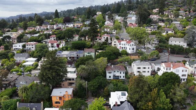 Dense hillside neighborhood with mixed rooftops, colorful homes, palm trees and lush canopy spreading across Berkeley hills toward forested ridgeline in Berkeley, California, USA. Aerial drone view.