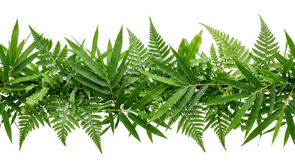 A lush arrangement of fern and bamboo leaves detailed botanical illustration on transparent background foliage © ATIQULISLAM
