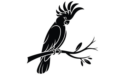 Elegant black silhouette of a crested cockatoo perched on a simple branch isolated against a clean white background graphic design © Snaplix