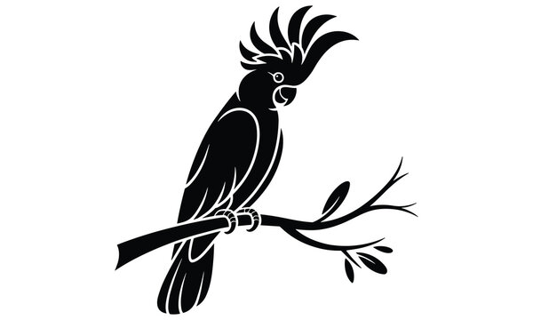 Elegant black silhouette of a crested cockatoo perched on a simple branch isolated against a clean white background graphic design