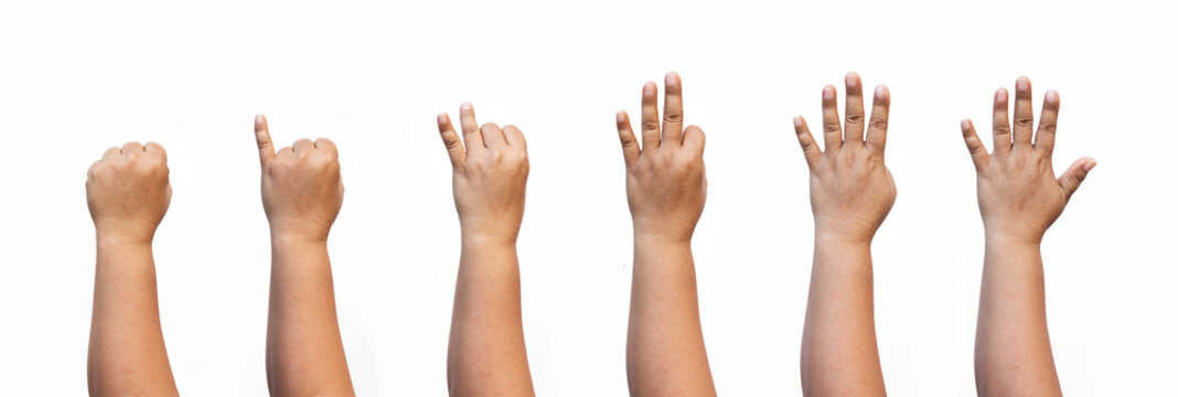 Middle-aged female hand counting from zero to five with finger gestures isolated on white background. Number counting, education concept, hand sign collection.