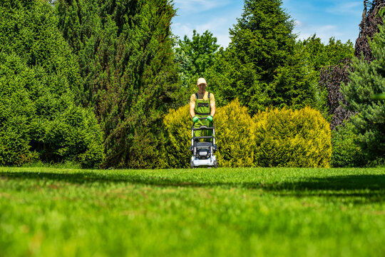 Grass cutting is taking place in a garden during a sunny day
