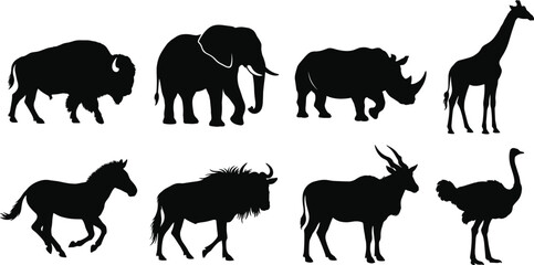 Fototapeta premium African Wildlife Animal Silhouette Set with Safari Mammals and Bird Species
