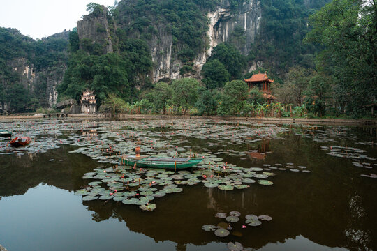 Temple and Quiet Pond With Lotus Flowers in Ninh Binh, Vietnam