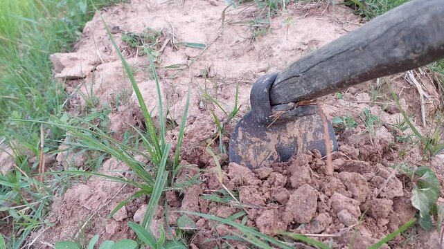 Close up of a hoe digging and tilling dry soil to prepare for planting.
