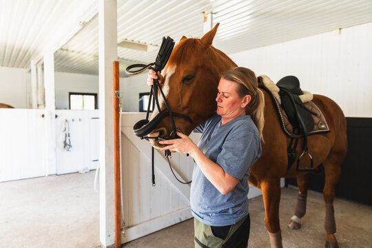 Woman Fitting Bridle on Saddled Horse