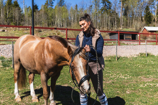 Woman Grooming chestnut Horse Outdoors