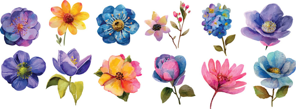 set of spring flowers